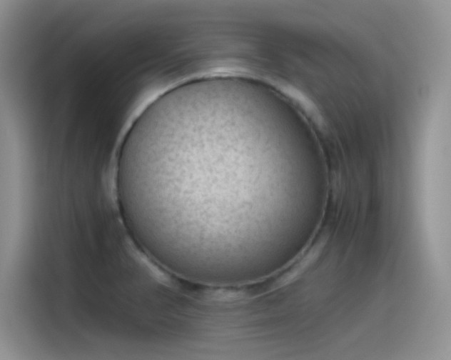 X0000115511374200911131332