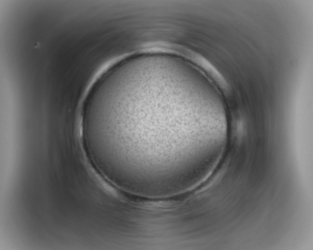 X0000115511376200911131332