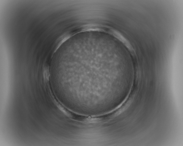 X0000115511377200911131332