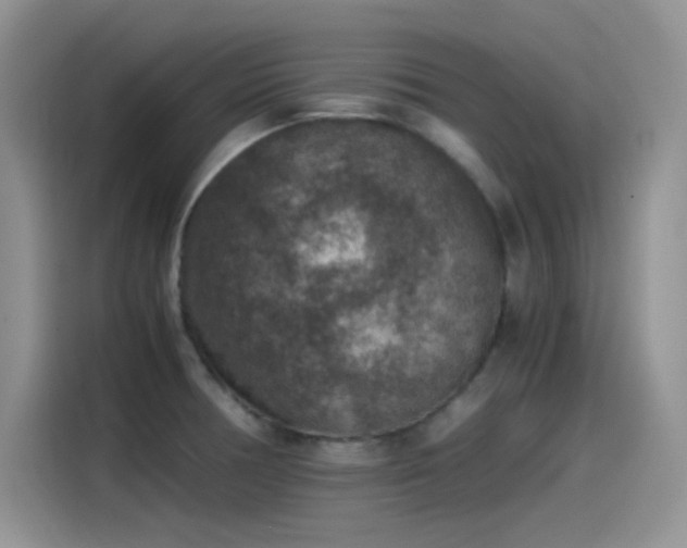 X0000115511378200911131332