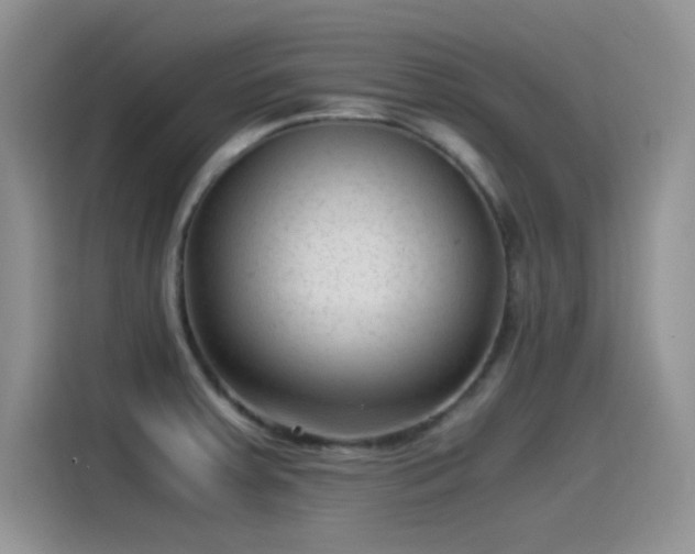 X0000115511379200911131332