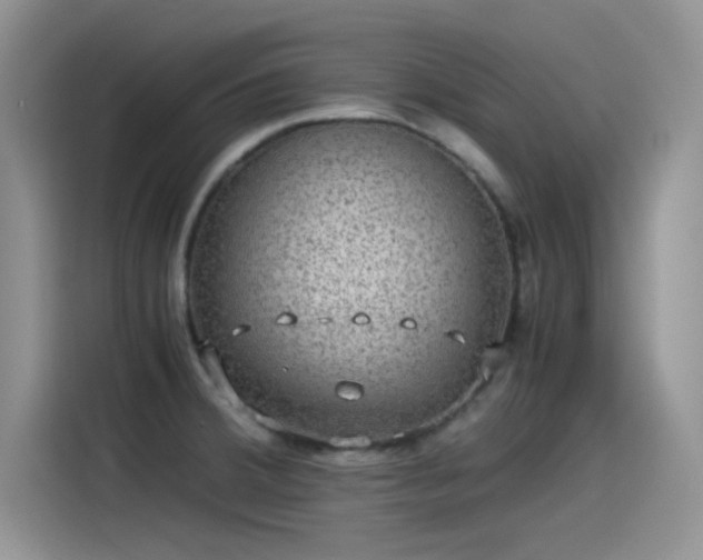 X0000115511380200911131332