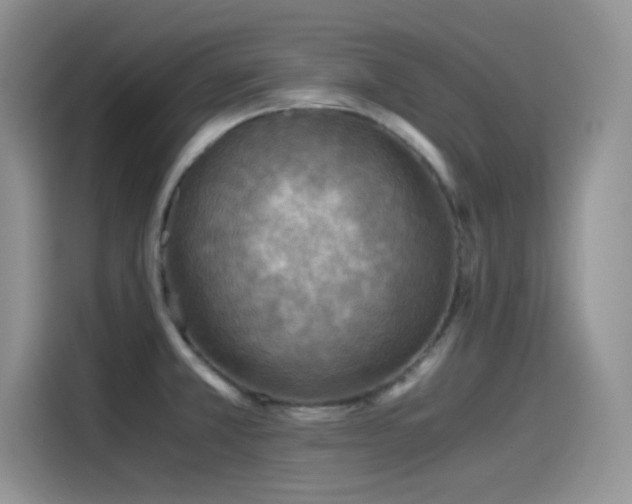 X0000115511381200911131332