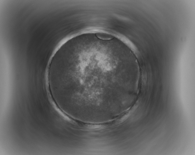 X0000115511382200911131332