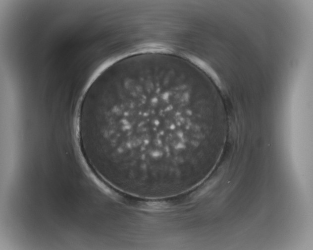 X0000115511383200911131332