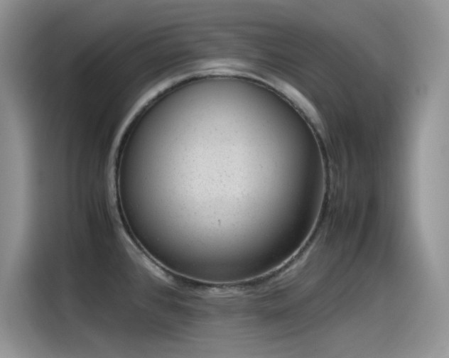 X0000115511384200911131332