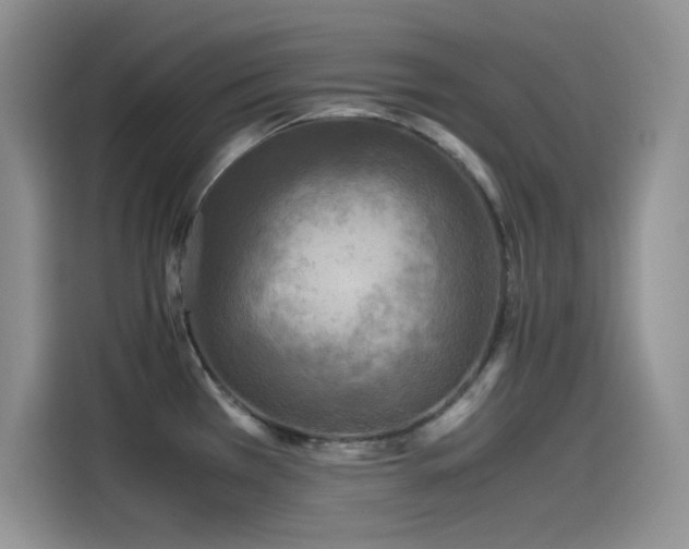 X0000115511385200911131332