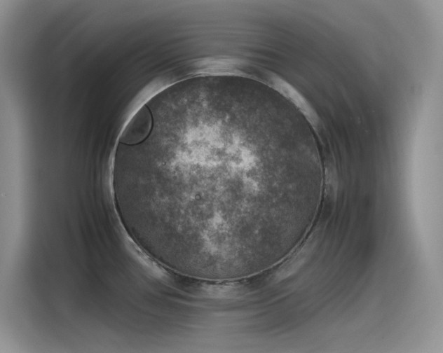 X0000115511386200911131332