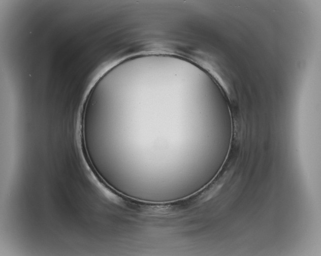 X0000115511387200911131332