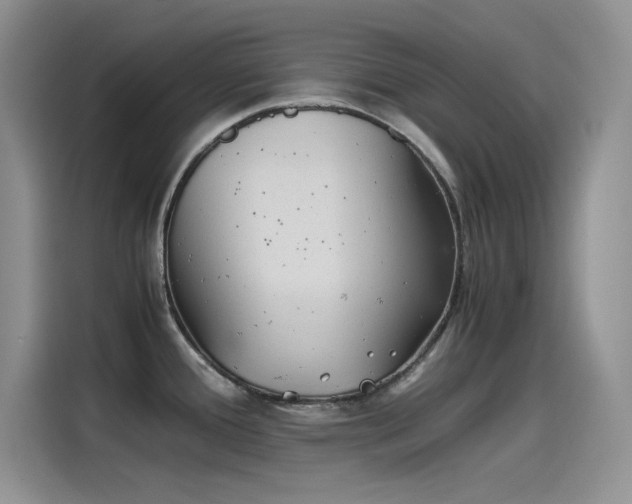 X0000115511388200911131332