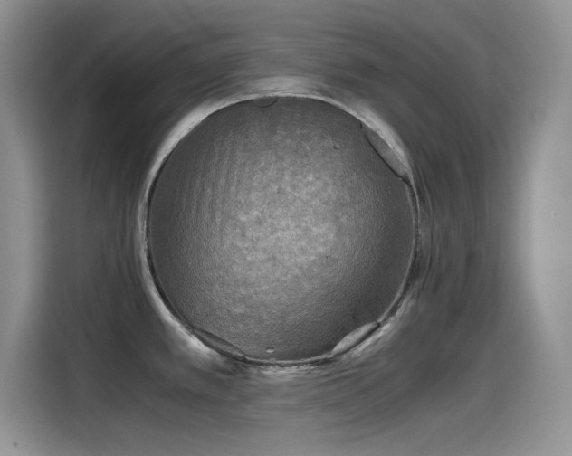 X0000115511389200911131332