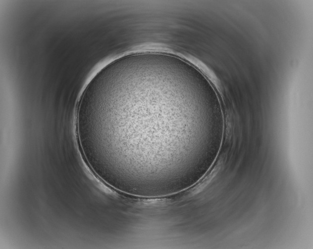 X0000115511390200911131332