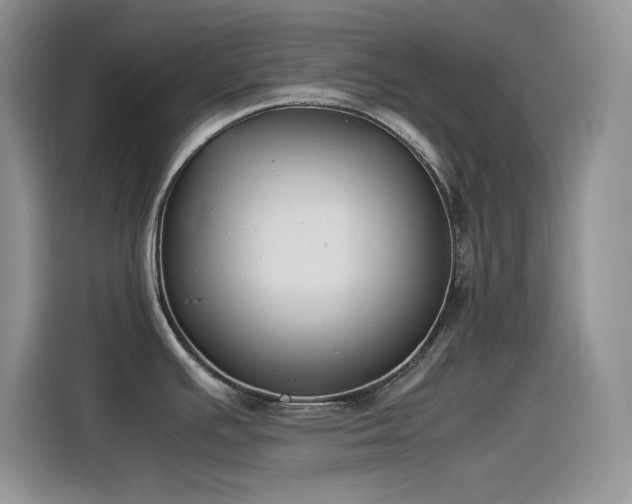 X0000115511391200911131332