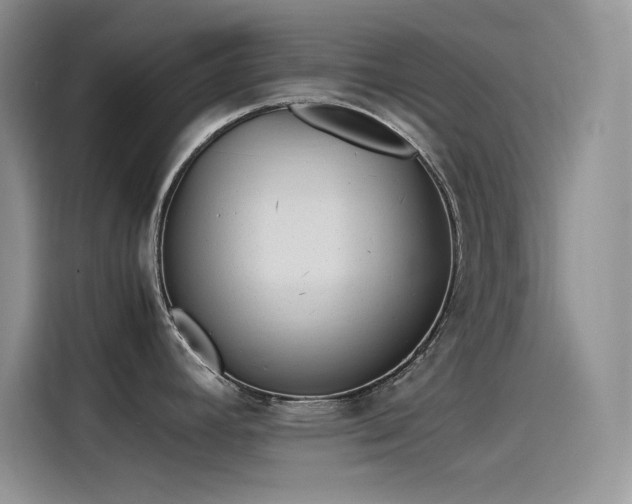 X0000115511392200911131332