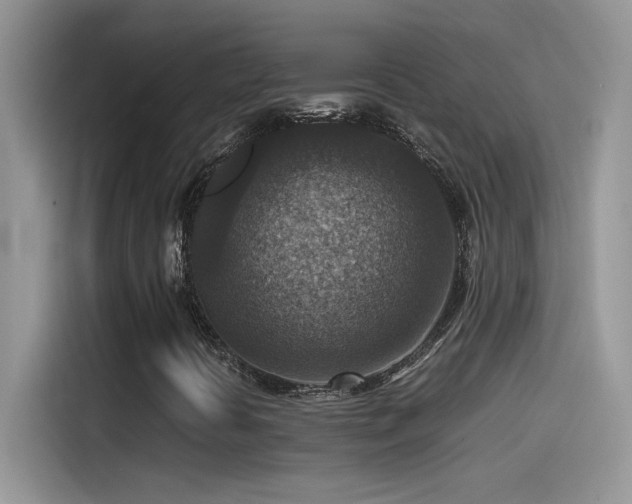 X0000115511394200911131331