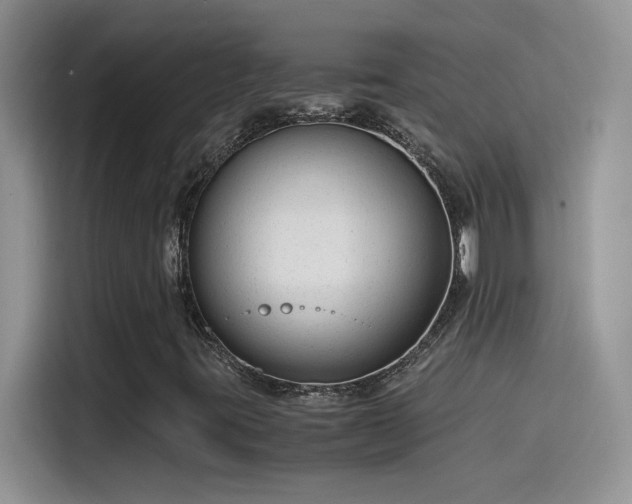 X0000115511395200911131331