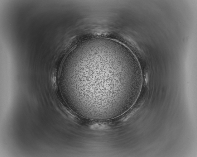 X0000115511396200911131331