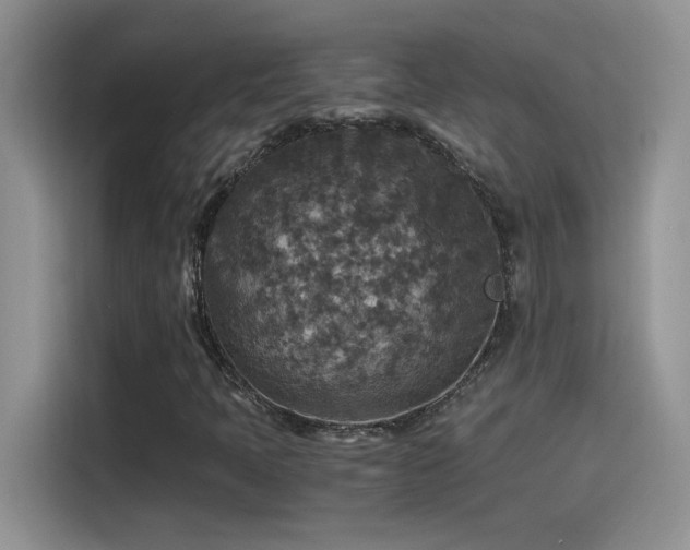 X0000115511397200911131331