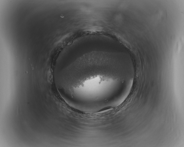 X0000115511398200911131331