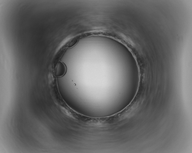 X0000115511400200911131332