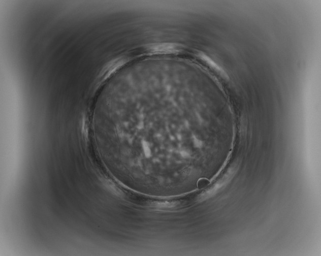 X0000115511401200911131332