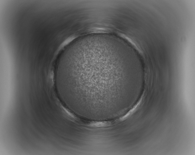 X0000115511402200911131332