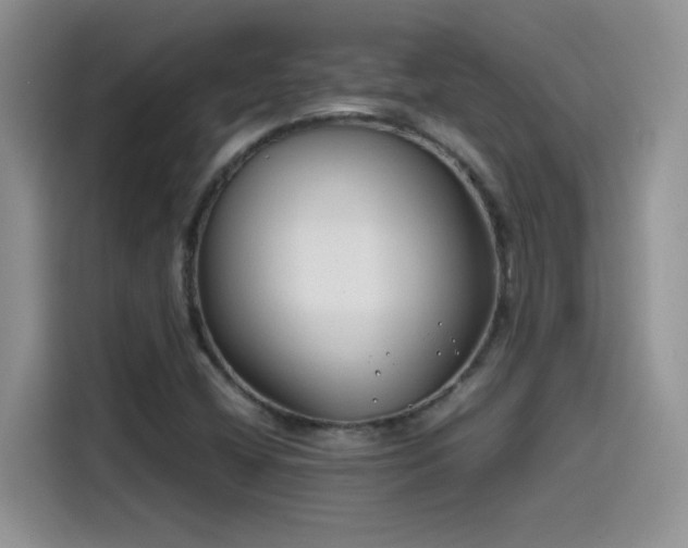 X0000115511404200911131332