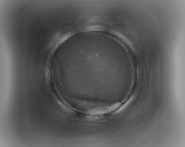 X0000115511405200911131332