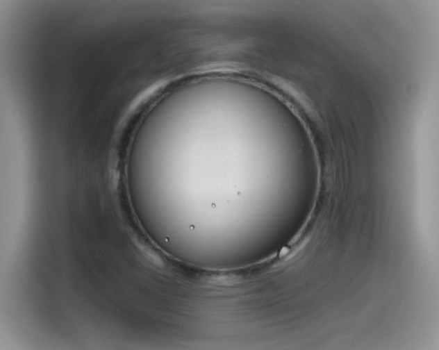 X0000115511406200911131332