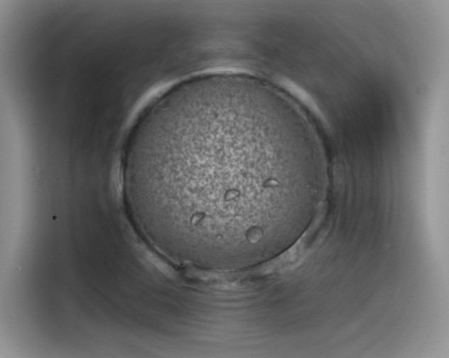 X0000115511408200911131332