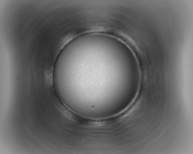 X0000115511409200911131332