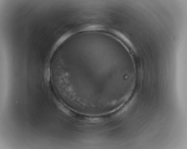 X0000115511413200911131332