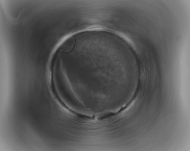 X0000115511414200911131332