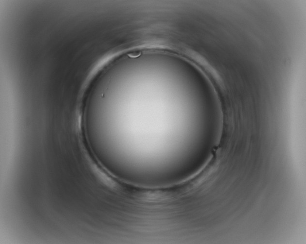 X0000115511416200911131332