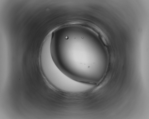 X0000115511417200911131332