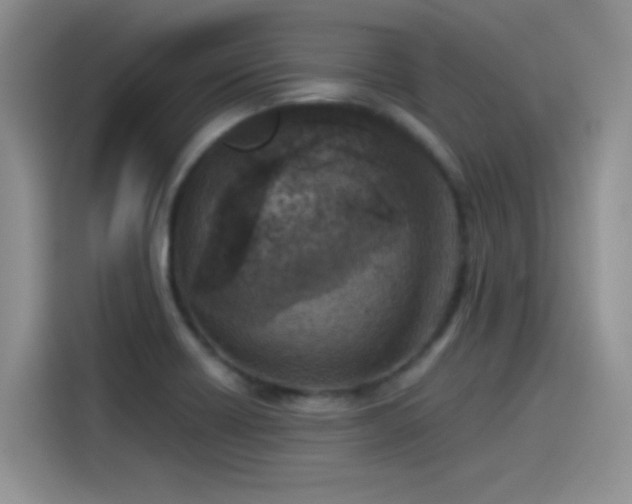 X0000115511418200911131332