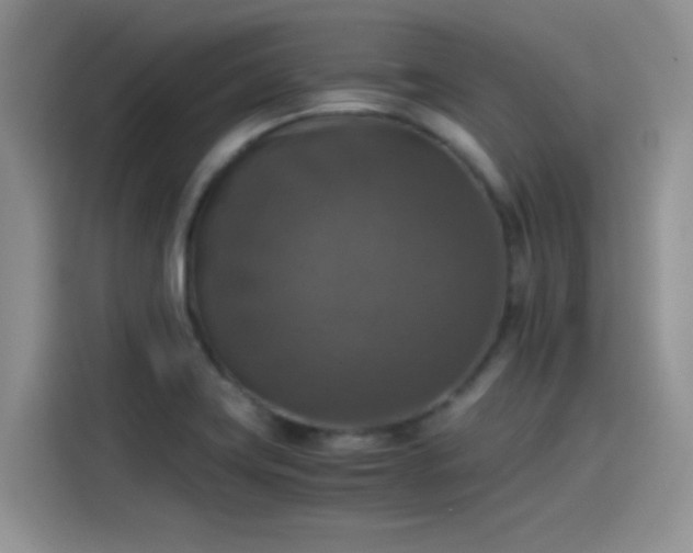 X0000115511419200911131332