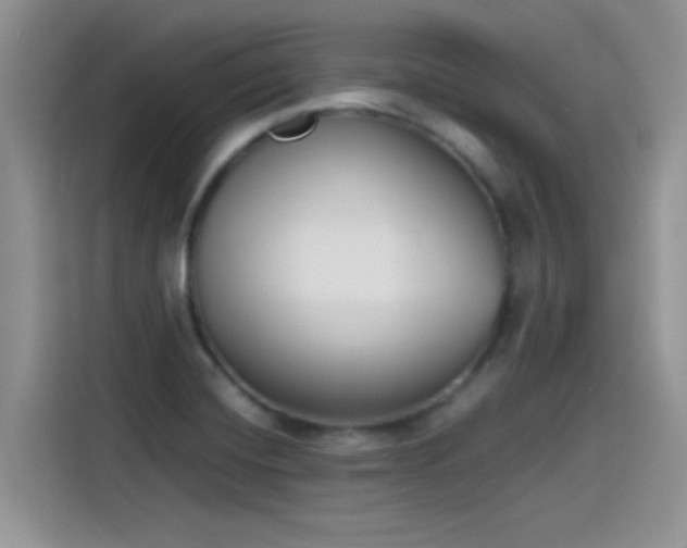 X0000115511420200911131332