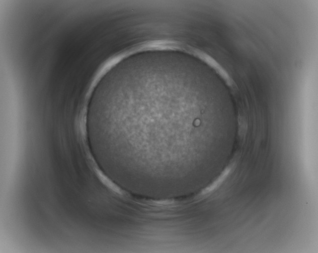 X0000115511421200911131332