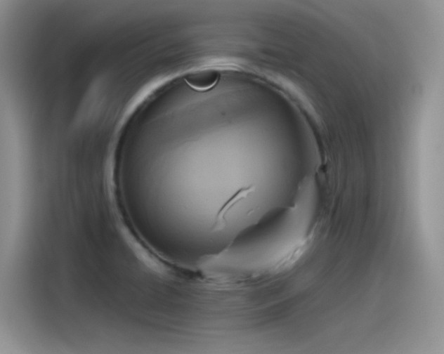 X0000115511422200911131332