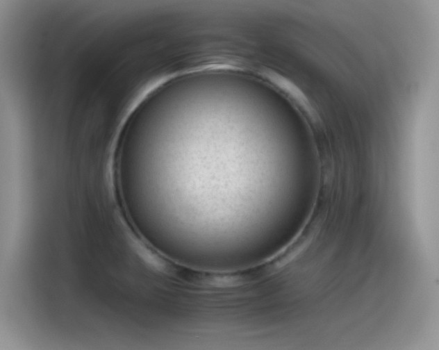 X0000115511423200911131332