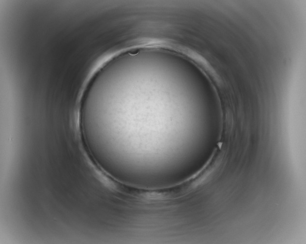 X0000115511424200911131332