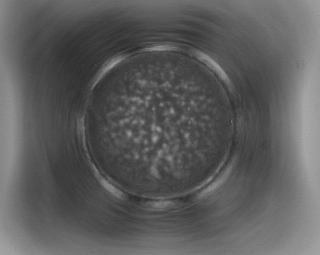 X0000115511425200911131332