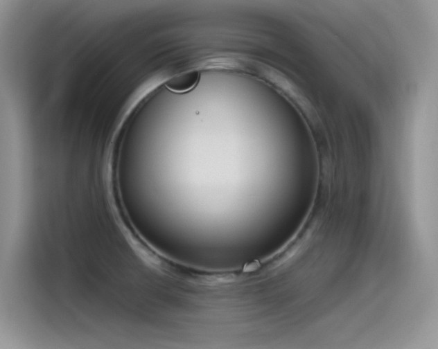 X0000115511426200911131332