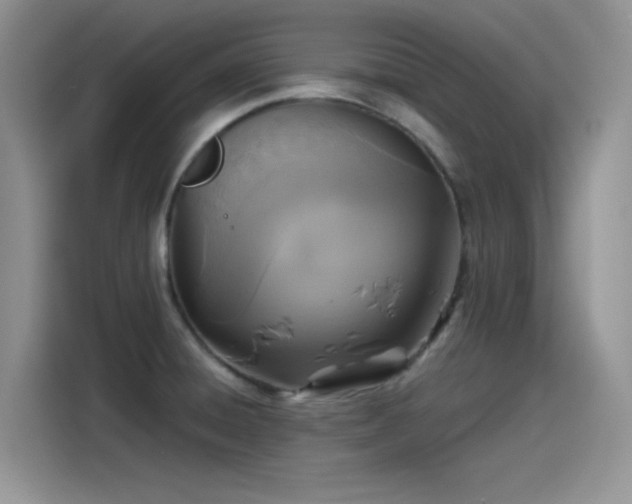 X0000115511428200911131332