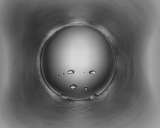 X0000115511430200911131332