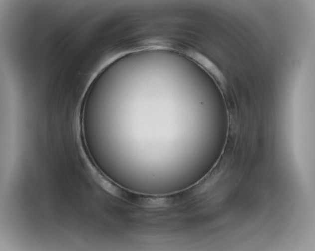 X0000115511431200911131332