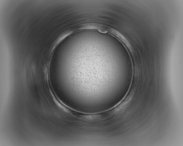 X0000115511433200911131332