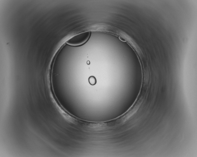 X0000115511434200911131332