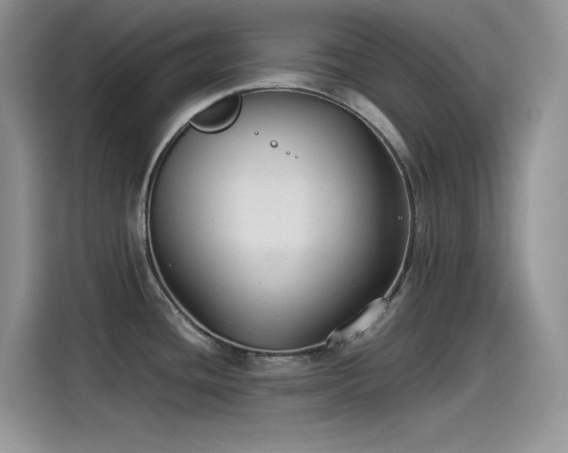 X0000115511436200911131332